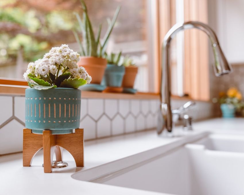 Kitchen Sink - green plant on brown wooden table