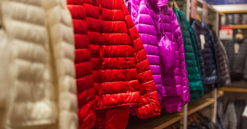 Winter Clothes - Assorted-color Bubble Jackets Hanged